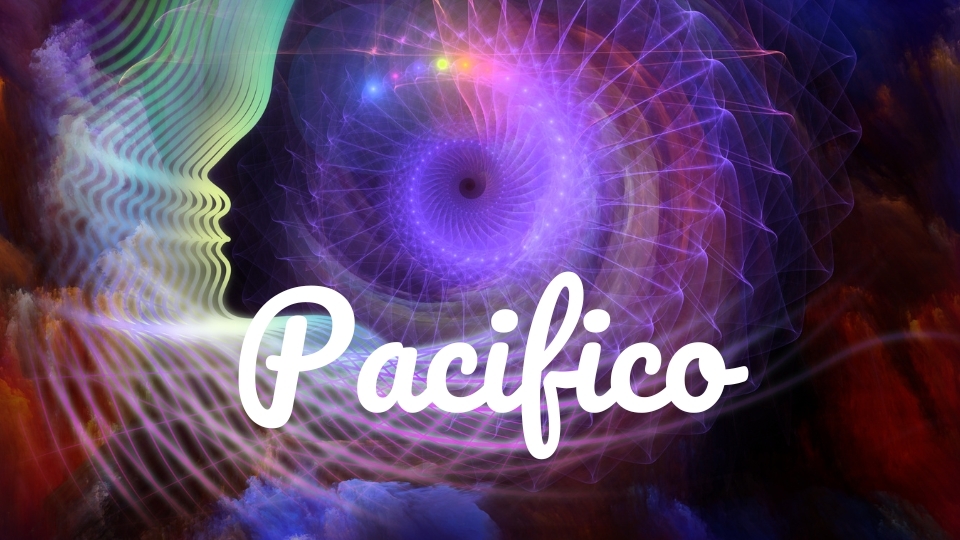 Tổng hợp font chữ đẹp trong Canva dành cho Designer font chu dep trong canva 2