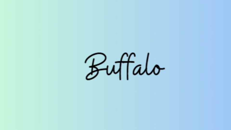 Tổng hợp font chữ đẹp trong Canva dành cho Designer font chu dep trong canva Buffalo