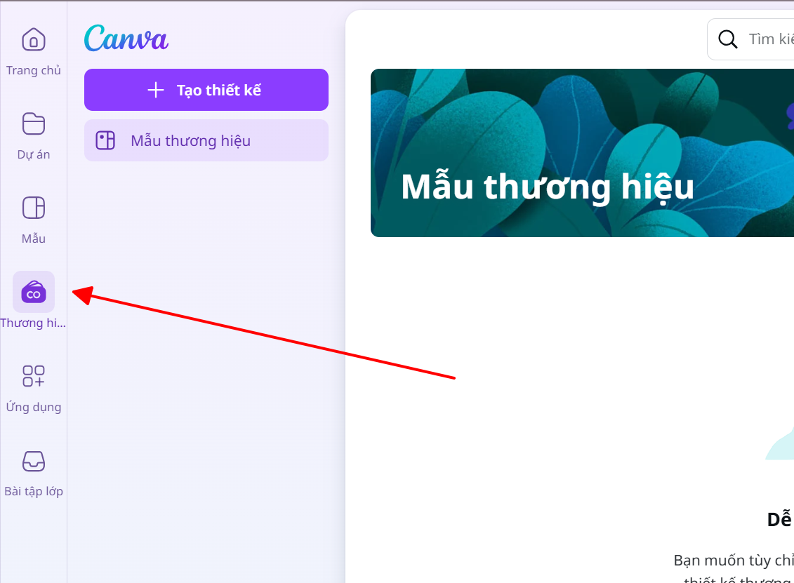 Cách tải font chữ lên Canva để sử dụng riêng truy cap bo thuong hieu