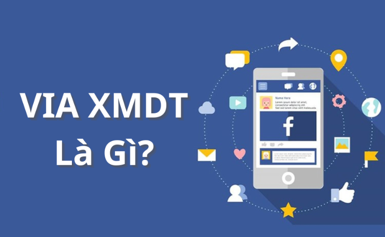 Via 902 và Via XMDT - Lựa Chọn Nào Tối Ưu Cho Facebook Ads? via xmdt - via xac minh danh tinh