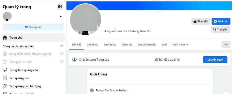 Page Pro5 là gì