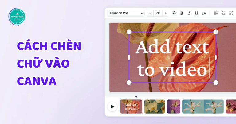 Hướng dẫn cách Chèn Chữ Trên Canva nhanh, dễ làm