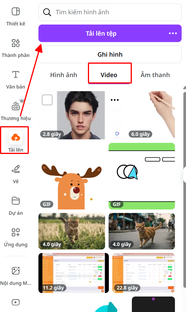 cach chen video vao canva may tinh