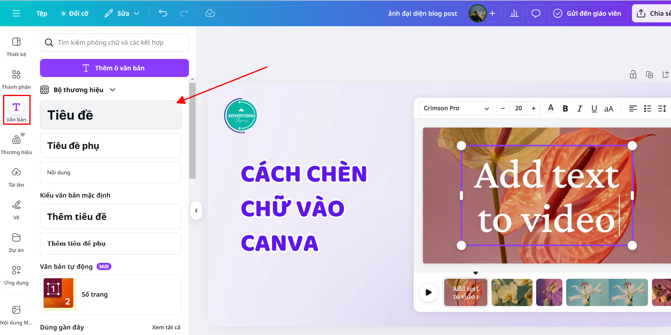 Hướng dẫn cách Chèn Chữ Trên Canva nhanh, dễ làm chen chu vao canva