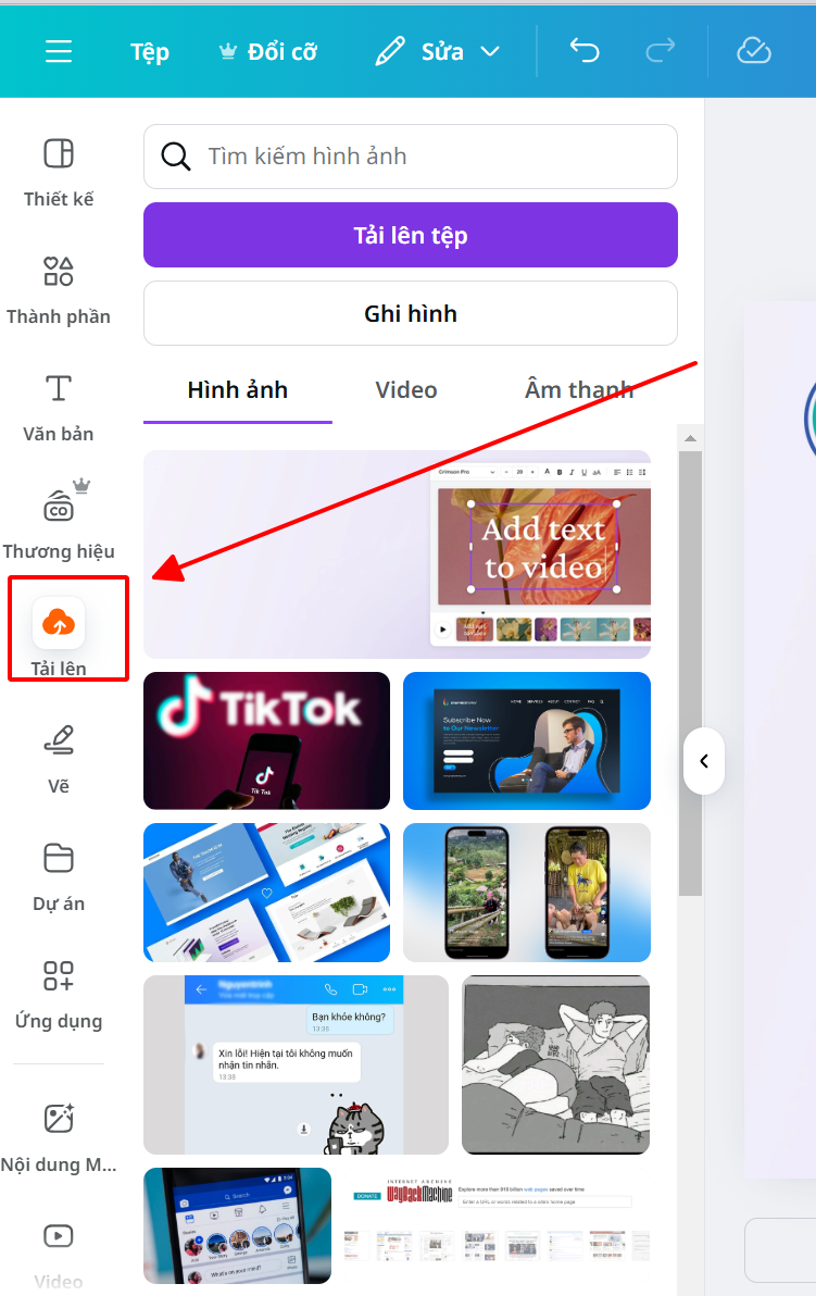 Hướng dẫn cách Chèn Chữ Trên Canva nhanh, dễ làm tai anh len canva