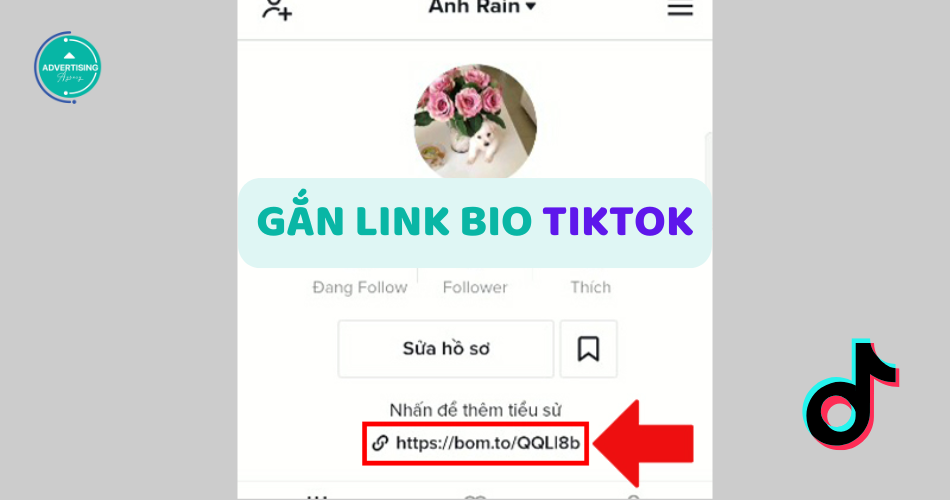 Cách gắn link bio trên TikTok thành công 100% Cách gắn link bio trên TikTok thành công 100%