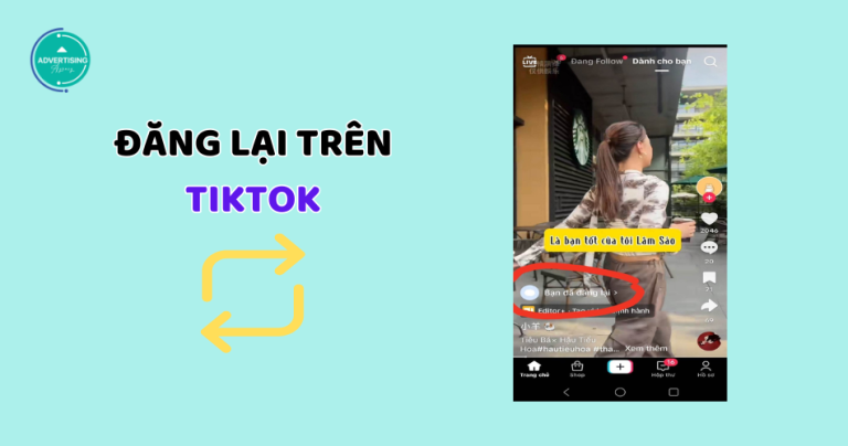 Đăng Lại Trên TikTok Là Gì? Làm sao để đăng lại trên Tiktok