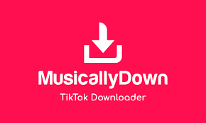6+ App Tải Video TikTok Không Logo Trên iPhone (iOS) MusicallyDown