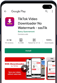6+ App Tải Video TikTok Không Logo Trên iPhone (iOS) SSSTikTok