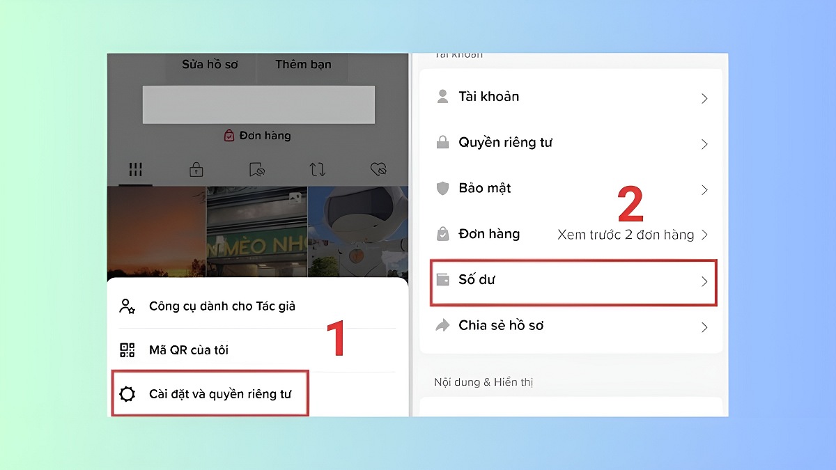 vao muc so du tiktok