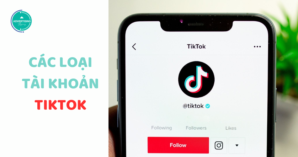 Phân biệt Các Loại Tài Khoản TikTok Phổ Biến hiện nay