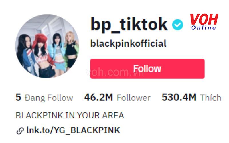 Phân biệt Các Loại Tài Khoản TikTok Phổ Biến hiện nay TikTok cung dang ho tro tai khoan nghe si