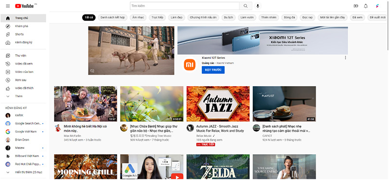 In feed ads youtube
