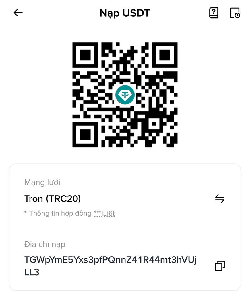 Thanh Toán thanh toan qua usdt