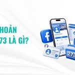 Tài Khoản VIA 273 Là Gì? Đặc Điểm, Công Dụng Và Cách Sử Dụng VIA 273