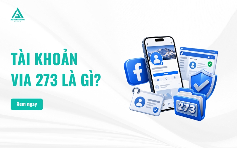 Tài Khoản VIA 273 Là Gì? Đặc Điểm, Công Dụng Và Cách Sử Dụng VIA 273