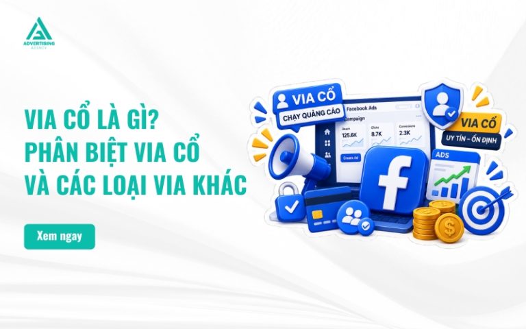 Via Cổ Là Gì? Phân Biệt VIA Cổ Và Các Loại VIA Khác