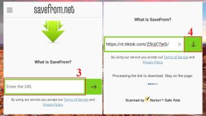 Tải ảnh Tiktok không logo trên iPhone với SaveFrom.net bước 3, 4