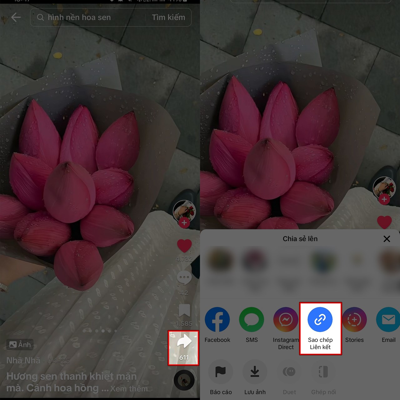 Hướng dẫn Tải ảnh TikTok không logo online miễn phí sao chép link ảnh tiktok