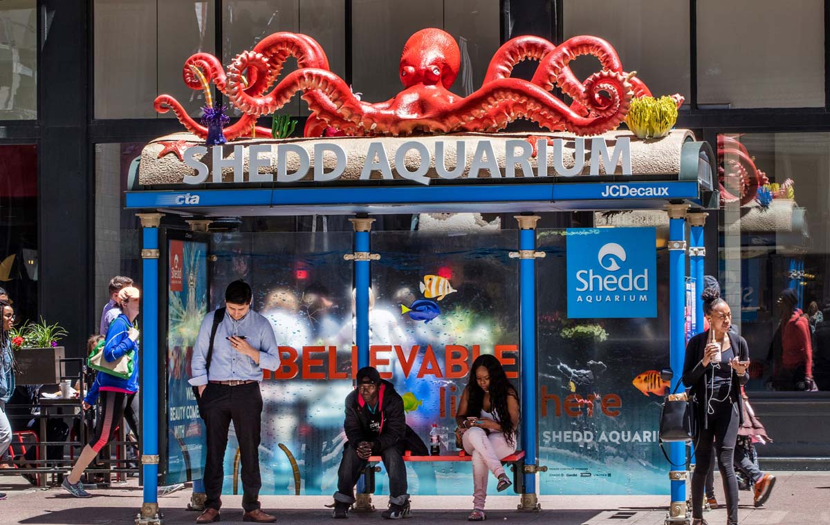 Agency là gì? Tổng hợp các loại hình công ty Agency phổ biến When to Hire a Brand Activation Agency (& What to Look For)