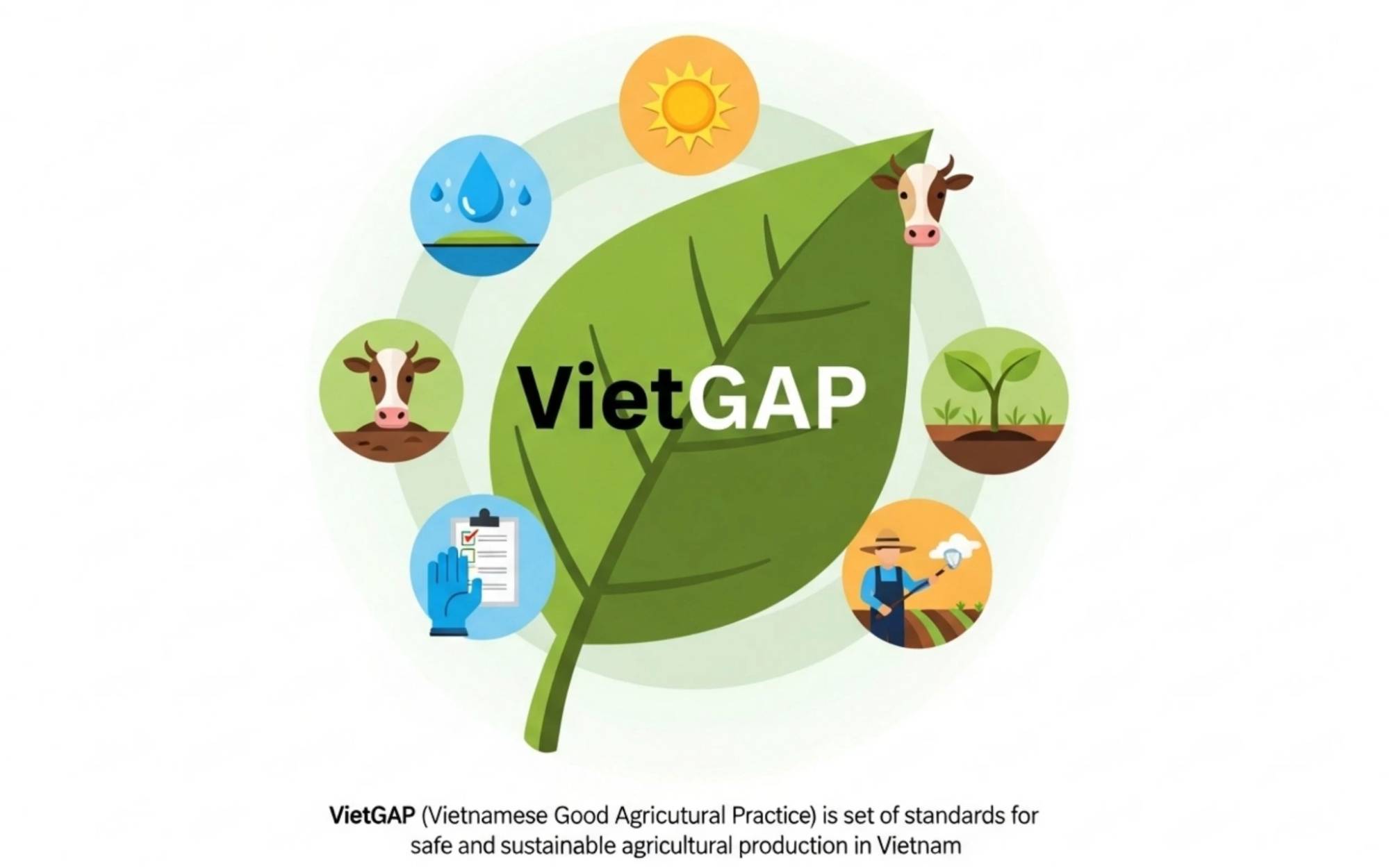 Xây dựng niềm tin khách hàng qua các chứng nhận đặc thù (OCOP, VietGAP, chỉ dẫn địa lý)