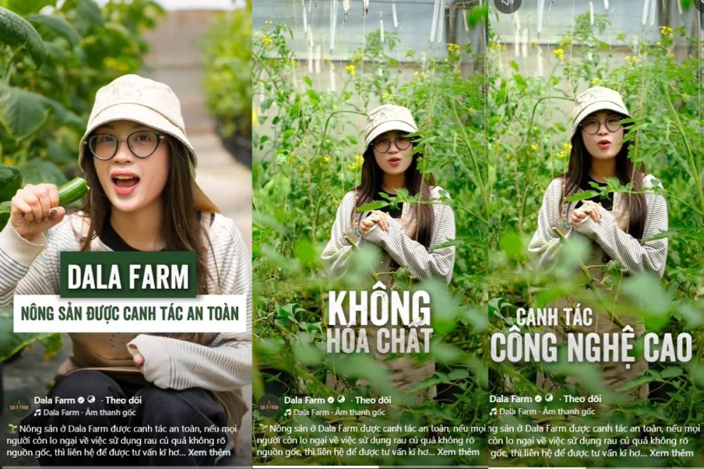 Video ngắn quay tại vườn, thu hoạch và giải thích cho khách hàng các thông tin về sản phẩm của mình