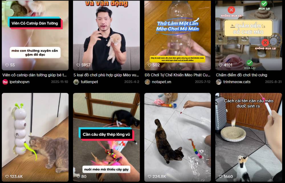 Hợp tác với KOLs/KOCs và Influencer trong ngành thú cưng