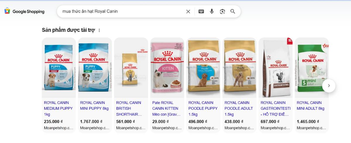 uảng cáo Google (Search & Shopping) đánh vào nhu cầu mua sắm