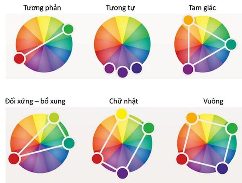 Banner là gì? Phân loại, kích thước chuẩn và nguyên tắc thiết kế hiệu quả 4 Color contrast thu hút thị giác và phân rõ các yếu tố trong thiết kế/banner