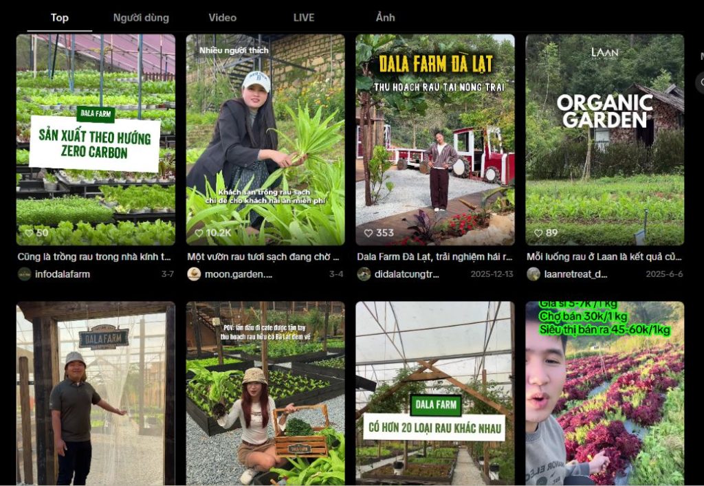 Dạng content video ngắn chia sẻ quy trình trồng và thu hoạch nông sản sạch trên TikTok