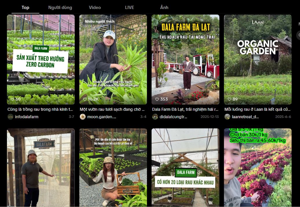Dạng content video ngắn chia sẻ quy trình trồng và thu hoạch nông sản sạch trên TikTok
