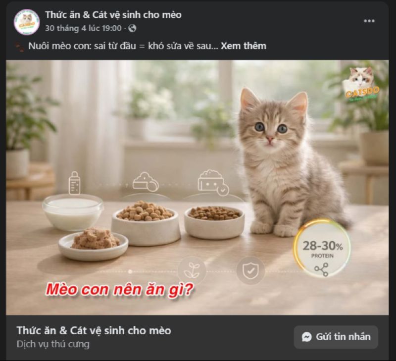 Dịch vụ và sản phẩm chăm sóc thú cưng hiện nay cạnh tranh rất cao