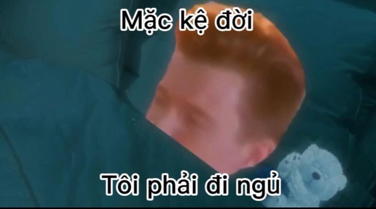 Meme “mặc kệ” thể hiện không muốn liên quan tới một sự việc nào đó
